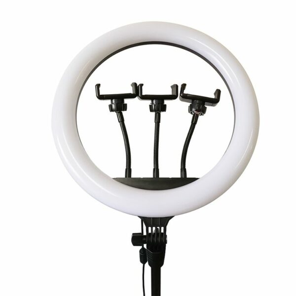 RingLight 14