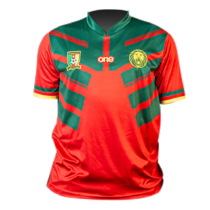 maillots lions indomptables