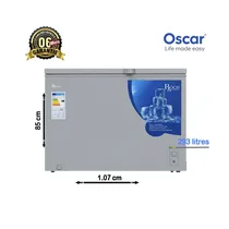 Congélateur ROCH RCF-360-A fermé sur fond blanc, vue de face