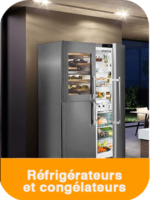 Refrigerateurs_et_Congelateurs